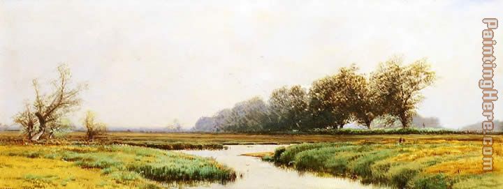 Newburyport Marshes
